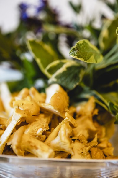 Nahaufnahme von Pfifferlingen mit gr&uuml;nen Bl&auml;ttern im Hintergrund.