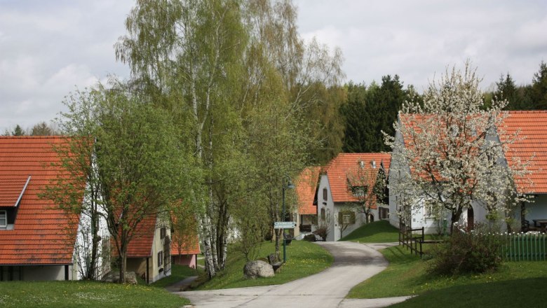Ein Dorf mit roten Dächern und blühenden Bäumen im Frühling.