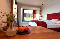 Ein einladendes Zimmer mit einem Hauch von Gemütlichkeit erwartet die Gäste. Die frischen Äpfel auf dem Tisch und die blühenden Wildblumen schaffen eine harmonische Atmosphäre, die zum Entspannen einlädt. Genießen Sie den Blick auf die malerische Landschaft und lassen Sie den Alltag hinter sich.