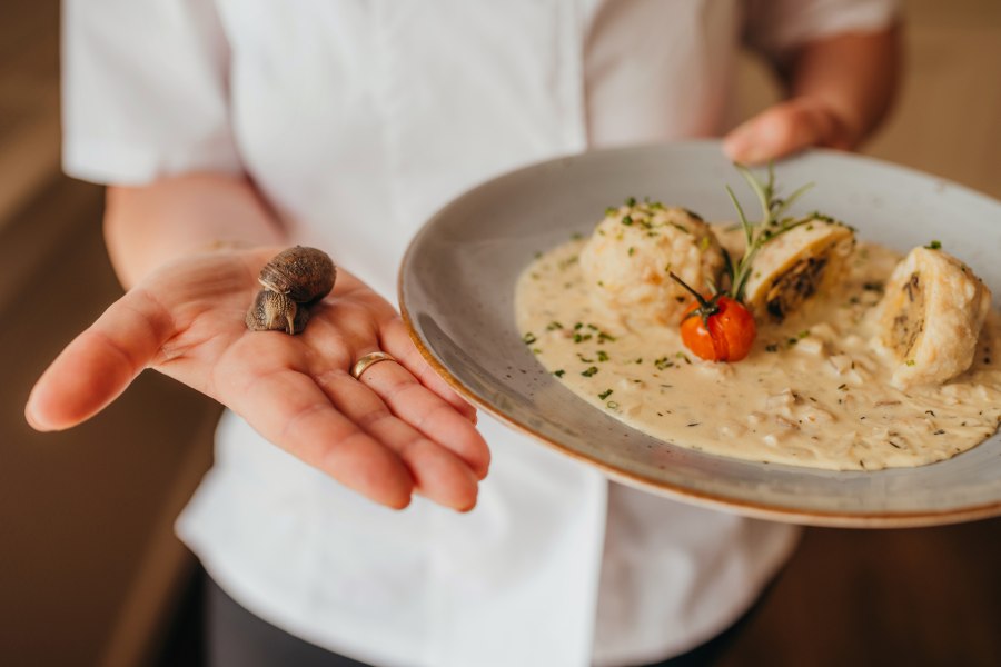 Weinbergschnecke – Spezialität des Hauses, © Niederösterreich Werbung/Daniela Führer