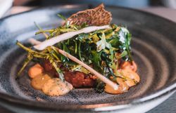 Ein köstliches Gericht, liebevoll angerichtet, lädt dazu ein, die Aromen der Region zu entdecken. Frische Kräuter und eine kreative Präsentation versprechen ein unvergessliches Geschmackserlebnis. Genießen Sie die herzliche Wirtshauskultur inmitten der malerischen Landschaft des Waldviertels.