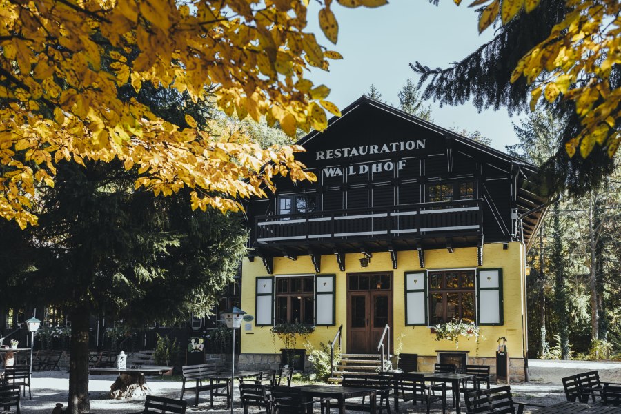 Ein gelbes Gebäude mit der Aufschrift 'Restauration Waldhof' umgeben von Bäumen und einem großen Gastgarten mit Tischen und Bänken.