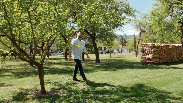 77 Marillenbäume stehen im Garten des Landgasthaus Essl, © David Moser/OBSCURA