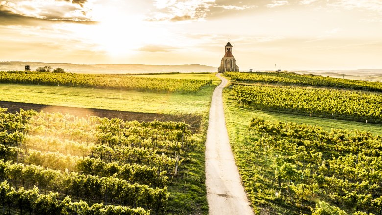 Wartberg, Weinviertel, © Weinviertel Tourismus/Robert Herbst