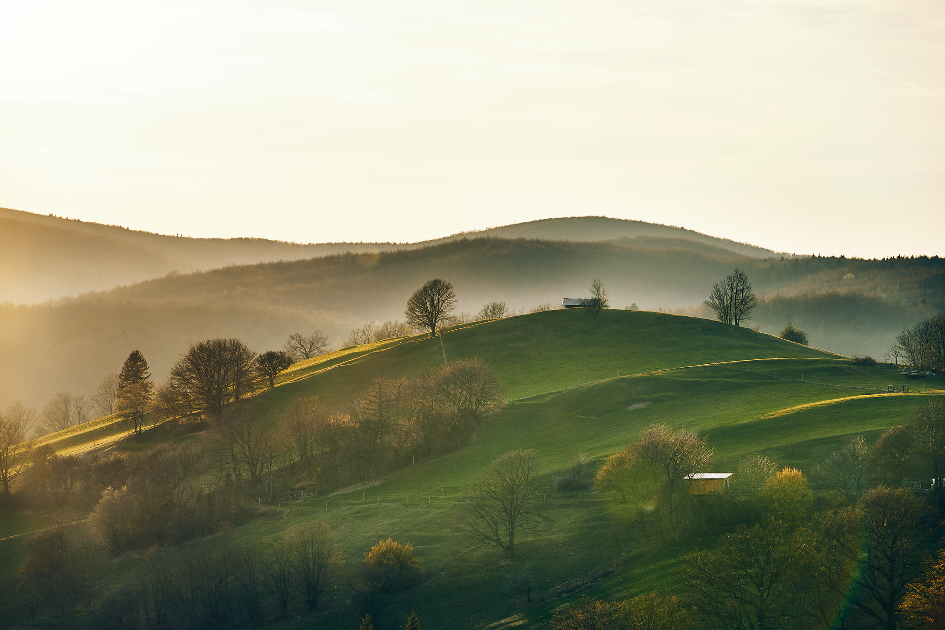Sanfte Hügel und üppige Wiesen laden zu einem unvergesslichen Sommerausflug ein. Die goldenen Strahlen der Abendsonne tauchen die Landschaft in ein warmes Licht und schaffen eine friedliche Atmosphäre, die zum Verweilen einlädt.