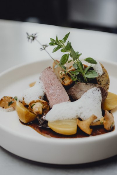 Gourmetgericht mit Rehfleisch, Serviettenkn&ouml;del, Pilzen und Schaum auf einem wei&szlig;en Teller.